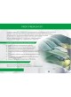 Оптом Антифриз PROFI PREMIUM -40 зеленый G11, канистра 5 кг 11-40-005