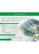Оптом Антифриз PROFI PREMIUM «-40» зеленый G11 (мет.бочка 220 кг) 11-40-220