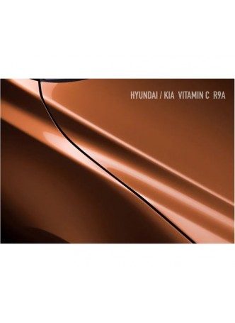 Оптом Базовая эмаль MegaMix Hyundai/Kia Vitamin C R9A, 850 мл, базисная автомобильная эмаль под лак, металлик 56437854141159