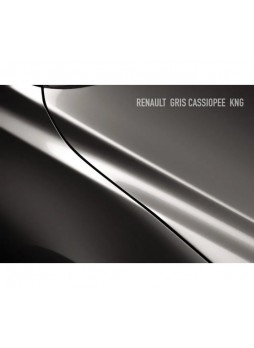 Оптом Базовая эмаль MegaMix Renault Gris Cassiopee KNG, 850 мл, базисная автомобильная эмаль под лак, металлик 5689125643892