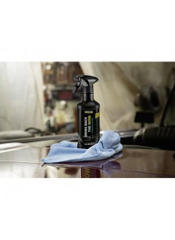 Оптом Чистящее средство для салона Karcher RM 651 0.5 л 6.296-106