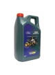 Оптом Моторное масло Ford CASTROL MAGNATEC Е 5W-20 5л, Бельгия 15F8D7