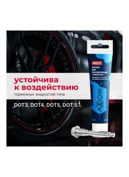 Оптом Смазка для направляющих суппортов AXIOM 20г A8521T