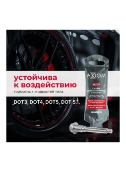 Оптом Смазка для направляющих суппортов AXIOM 5 г A8521P