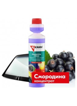 Оптом Суперконцентрированный омыватель стекол KERRY смородина KR-334